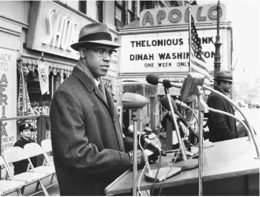 http://www.filmreference.com/Films-Le-Ma/Malcolm-X.html